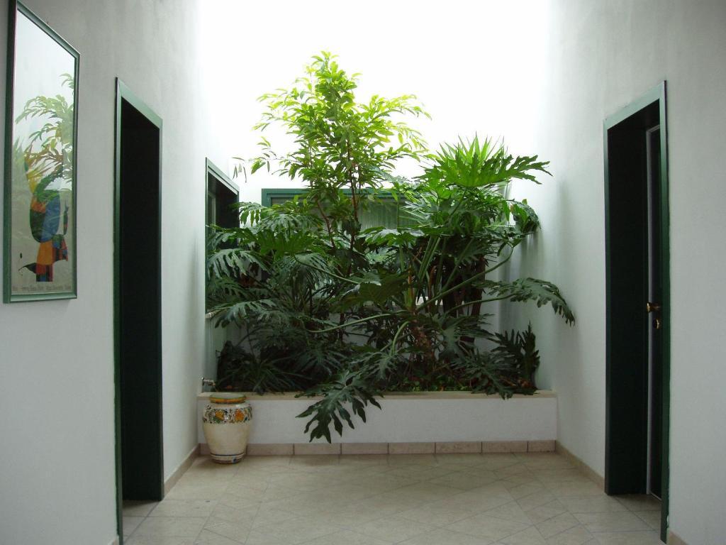 Hotel La Primula Forte dei Marmi Bagian luar foto