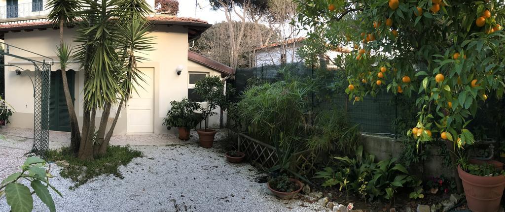 Hotel La Primula Forte dei Marmi Bagian luar foto