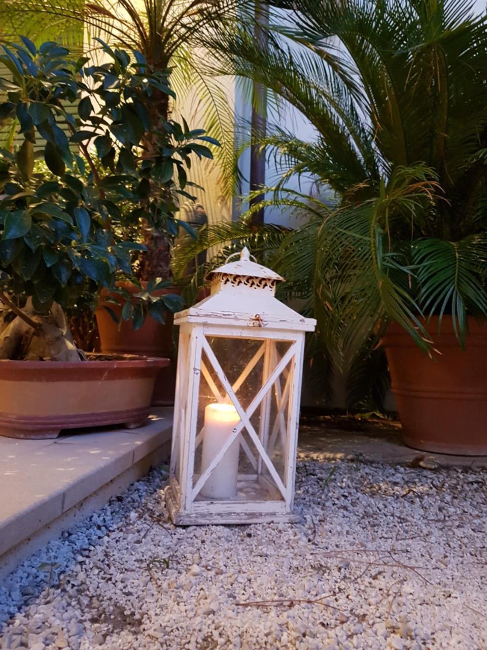 Hotel La Primula Forte dei Marmi Bagian luar foto